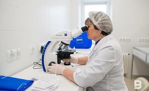 В России за сутки выявили 11 086 новых случаев коронавируса