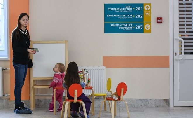 ЛДПР направила в правительство России проект об удаленной работе в декрете