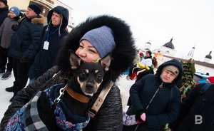 В аномальные морозы среднесуточные температуры в Татарстане опустились ниже нормы на 28 градусов