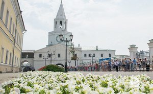 В Казани высадили 4 тысячи деревьев и 20 тысяч кустарников