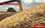 В Высокогорском районе Татарстана намолотили почти 39 тысяч тонн зерна — видео