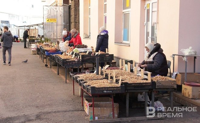 В Татарстане за неделю выросли цены на часть овощей «борщевого набора»
