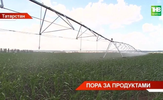 В Татарстане в 2022 году на мелиорацию выделили 2 миллиарда рублей — видео