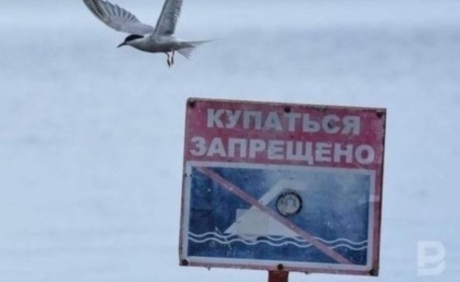 В Васильево спасатели ищут ребенка, пропавшего во время купания