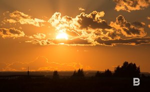 Лето 2021 года стало самым теплым в Европе за последние три десятилетия