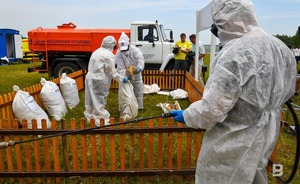 В Татарстане отработали алгоритм противодействия птичьему гриппу