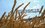 Минсельхоз: Россия не заинтересована в продлении зерновой сделки