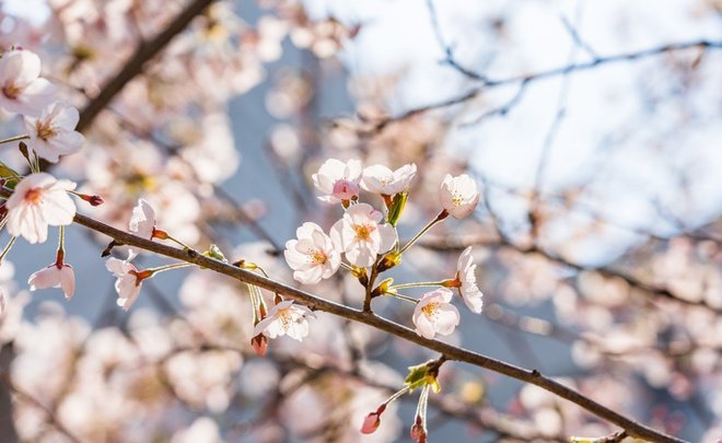 В Татарстане каждый пятый рассказал, что 1 мая должен быть рабочим днем