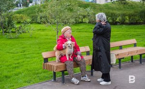 Американские ученые планируют найти лекарство от старения за 5 лет