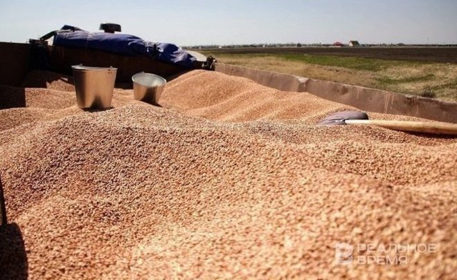 В мае импорт зерновых из России в Японию вырос почти на 2100%