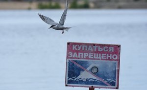 В Ульяновске Роспотребнадзор запретил купаться на пляже парка 40-летия ВЛКСМ