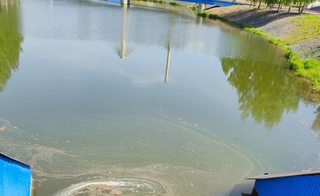 Экологи выяснили причину наличия пленки на водоеме в Альметьевске