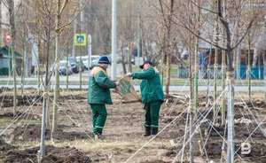 В Казани общегородской субботник пройдет 24 апреля