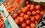 Официальная статистика: в Татарстане за неделю подешевели помидоры и сахар