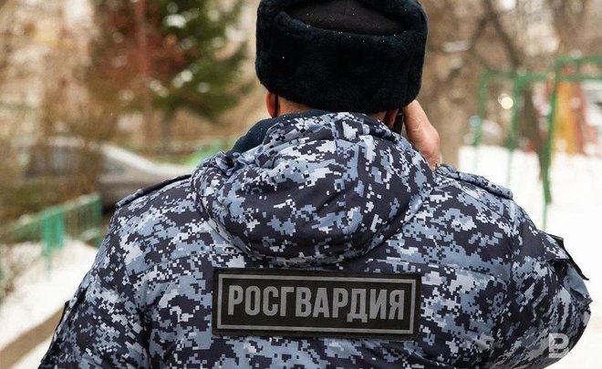 Госдума приняла закон о добровольческих формированиях Росгвардии