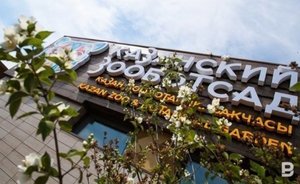 В Казани изменился режим работы «Реки Замбези»