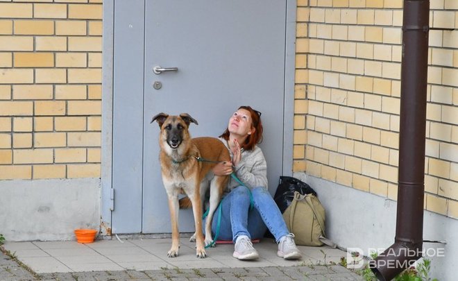 Каждый третий татарстанец высказался по поводу создания дружелюбной среды к питомцам