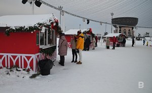 На проведение и организацию казанского «КышДаКар-феста» потратят 6,6 млн рублей