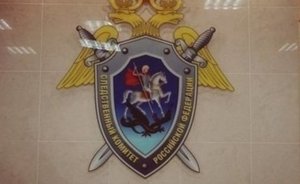 Подозреваемый в убийстве 26 пенсионерок житель Казани дал признательные показания