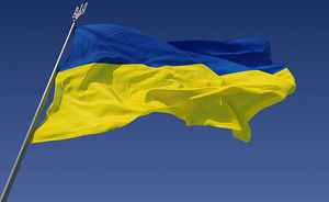 Россия введет визовый режим с Украиной в ответ на подобный шаг Киева
