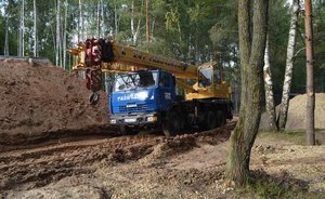 Экозащитники проверят исполком на честность в подсчете ущерба Ноксинскому лесу