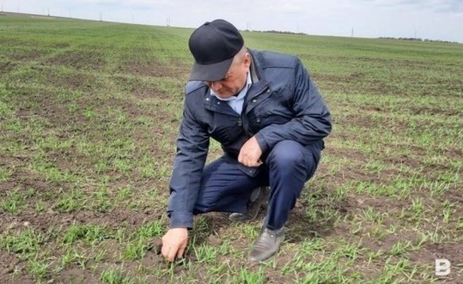 Минниханов — о продовольственной безопасности: «Главное — бесперебойное снабжение населения продуктами питания»