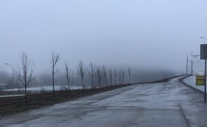 Синоптики Татарстана сообщили о надвигающемся тумане