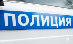 В Казани строители ищут воришку из такси, утаскивающего инструменты