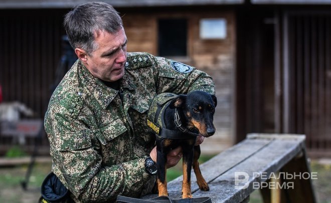 Татарстанские таможенники раскрыли аферу по незаконному выводу денег из страны и подделке молочных продуктов