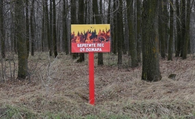 В Татарстане ущерб в пожароопасный период 2021 года превысил 37 млн рублей