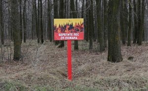 В Татарстане ущерб в пожароопасный период 2021 года превысил 37 млн рублей