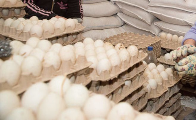 Казанский чиновник сознался в штамповке придуманных штрафов за торговлю яйцами