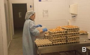УФАС в Татарстане выявило искусственное завышение цен на яйца