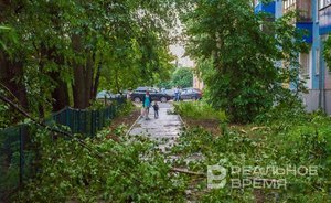 Татарстанцев предупредили о грозе и сильном ветре 25 июля