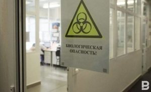 В России впервые выявили более 24 тысяч новых случаев COVID-19 за сутки