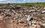 В Татарстане от строительных отходов очистили пять гектаров земли