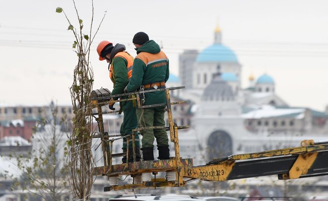 В Казани подготавливают деревья к зиме