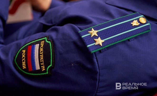 В Альметьевске собаки напали на ребенка — главе исполкома прокуратура направила представление