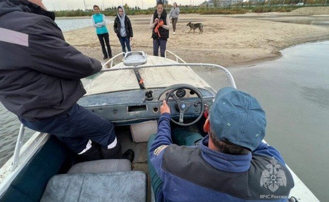 Очевидцы в Казани вызвали спасателей, перепутав бревно с застрявшей на отмели собакой