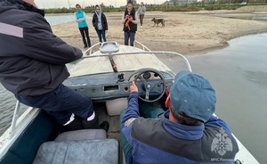 Очевидцы в Казани вызвали спасателей, перепутав бревно с застрявшей на отмели собакой