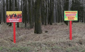 В Самарской области село загорелось в результате пала травы