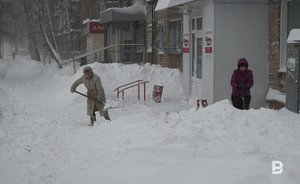 Минниханов призвал не забывать очищать от снега дворы в Татарстане
