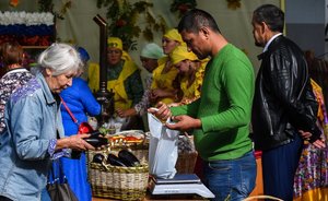 Минсельхозпрод Татарстана проведет праздник, конкурс и другие мероприятия почти за 24,9 млн рублей