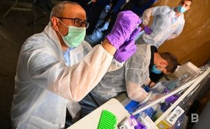 За неделю в мире число заражений оспой обезьян снизилось на 21%