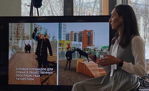 В Татарстане появятся 5 новых площадок для собак в общественных пространствах