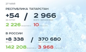 Главное о коронавирусе на 27 мая: прокуратура РТ требует допвыплат медикам, в России кошку посадили на карантин
