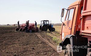 В Татарстане убрано 97% посевных площадей