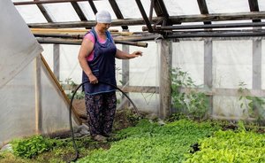 Перед майскими праздниками жители Казани стали заказывать услуги для благоустройства участков на 69% чаще