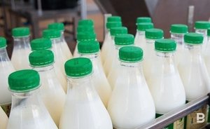 Татарстан вошел в число регионов России с максимальным объемом реализации молока