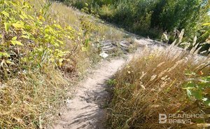 В Пестречинском районе Татарстана компании использовали более 2 тысяч гектаров земель с нарушением